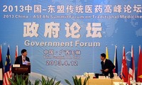 东盟-中国推进传统医药领域合作和发展