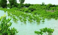越南发布2012-2020年应对气候变化国家行动计划