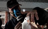 中国暂停鸟类经营行为