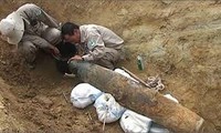 越南希望国际社会继续协助清理地雷污染地区