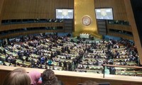 联合国大会通过叙利亚问题决议