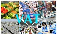 越南13届国会5次会议讨论社会经济发展计划和财政预算执行情况