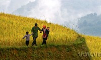 越南政府总理批准扶助贫困少数民族同胞政策