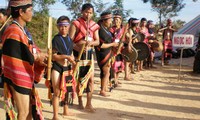 布娄族的传统节日盛会