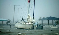 越南各地严密跟踪热带风暴“贝碧嘉”动向，随时发布禁止出海令