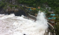 越南各地加紧统计热带风暴“贝碧嘉”造成的损失情况