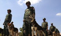 柬埔寨加强安保工作，迎接国会选举