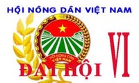 越南农民协会第六次全国代表大会将于7月1日开幕