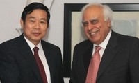越南和印度扩大信息技术领域合作