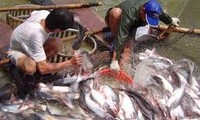 美国众议院反对美国无鳞鱼进口监督计划