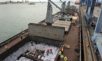 菲德尔.卡斯特罗发表公开信称朝鲜货船事件系抹黑古巴 