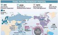 越南企业努力抓住TPP谈判机会