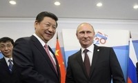 俄中元首在20国集团领导人峰会前夕会谈