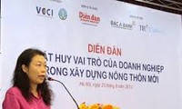 越南企业积极参与新农村建设
