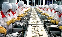 虾产品出口恢复增长
