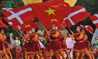 越南—丹麦面向持续的合作关系