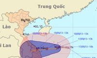 越南中部各省主动应对八号台风