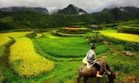 世行高度评价越南减贫成就