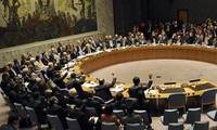 联合国安理会通过关于叙利亚人道主义问题的决议