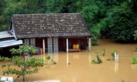 越南各地继续帮助中部各省克服台风影响
