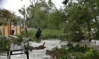  台风“百合”造成5人死亡和失踪27人受伤