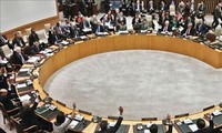 联合国安理会五名新成员名单揭晓