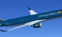 越南支持建立单一航空市场