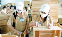 越南推动与中东北非地区的劳务输出合作