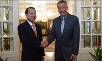 越南和新加坡继续加强多个领域的有效合作
