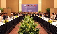 湄公河下游倡议工作组举行第五次会议
