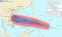 台风“海燕”造成越南十八人死亡和失踪八十一人受伤