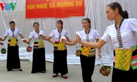 莱州省孟梭乡泰族人的摆手舞