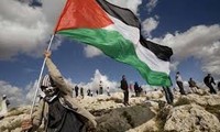 联合国宣布2014年为“声援巴勒斯坦人民国际团结年”