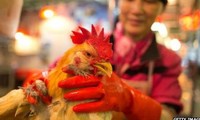 中国广东深圳活禽市场验出H7N9禽流感病毒