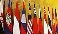 2013年越南外交：务实有效
