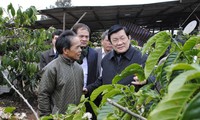张晋创：多农省要推进农业结构重组，促进经济快速、有效和可持续发展