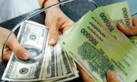 越南政府金融调控政策取得成功的一年
