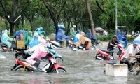 越南努力适应和应对气候变化