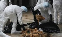 中国确认爆发H5N1禽流感疫情