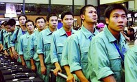 今年越南劳务输出市场出现可喜信号