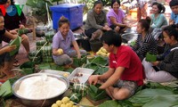 旅居多国越南人举行迎春活动