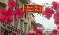 越南各地举行迎春活动