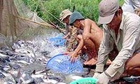 美国国会通过涉越南无鳞鱼产品法案