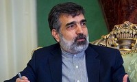 伊朗与国际原子能机构谈判取得进展