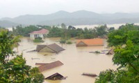 世行帮助越南应对气候变化