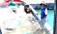 外国记者刊文报道面对中国在东海采取的行动的越南渔民