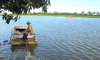越南举行响应世界水日国家级大会