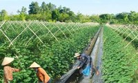 国际农业发展基金会向越南提供3400万美元用以发展农业和应对气候变化