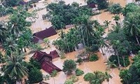 国际援助者高度评价越南应对气候变化工作