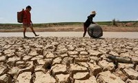 越南呼吁世界卫生组织提高应对气候变化活动的效果